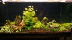 Lampa DIY do 500l