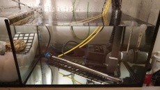 Akwarium 500l