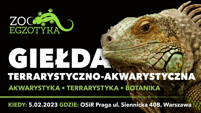 giełda_20230205.jpg