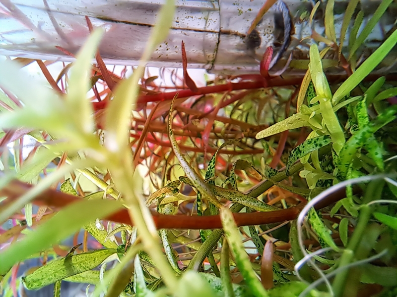 20230115_114040.jpg