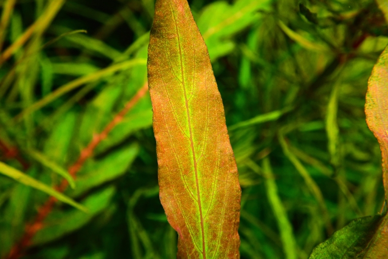 P1201822_copy_3000x2004.jpg