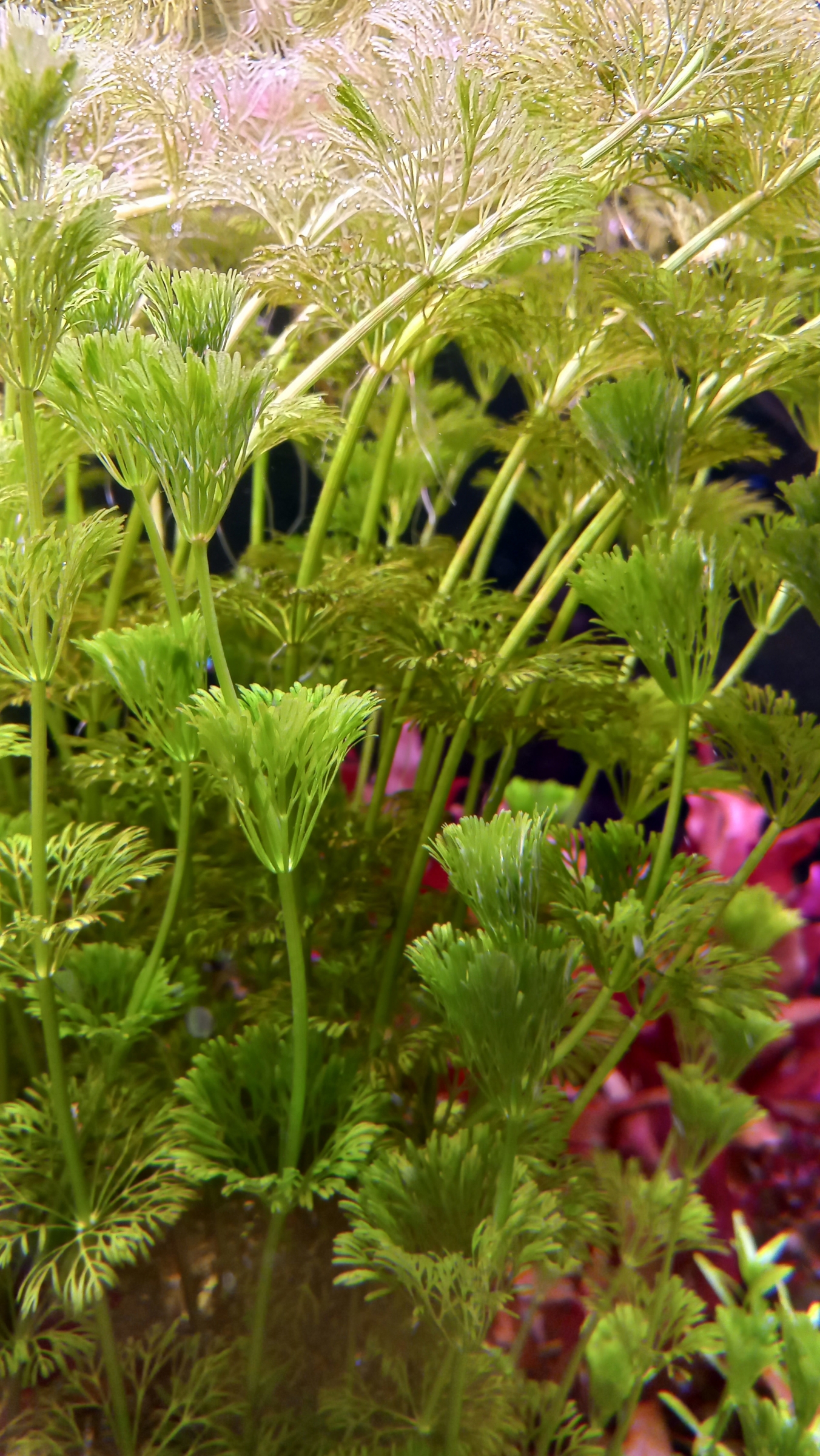20230214_214431a.jpg
