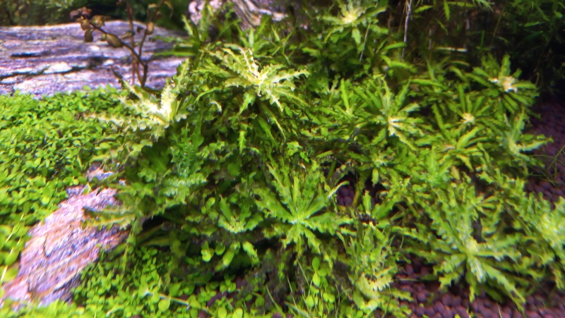 20230214_214543.jpg