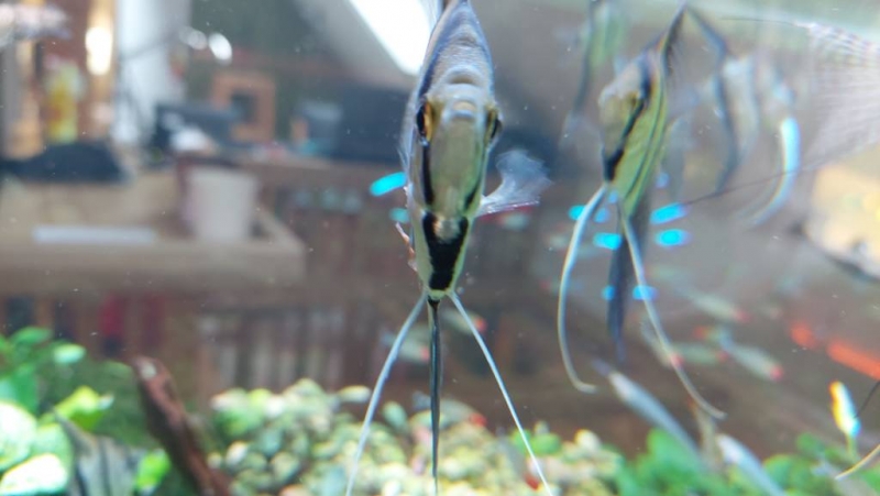 20230216_153841.jpg