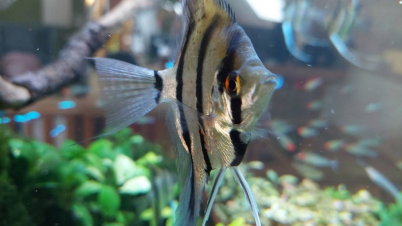 20230216_153901.jpg