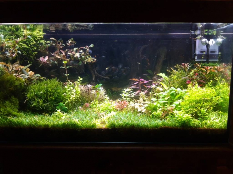 20230308_211743.jpg