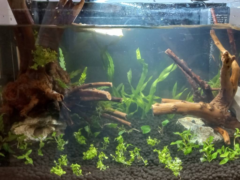 20230311_174052.jpg