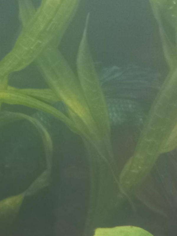 20230312_111054.jpg