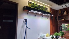 Projekt Dzika Locha V2 600l
