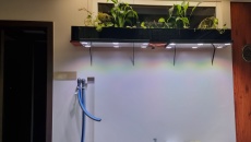 Projekt Dzika Locha V2 600l
