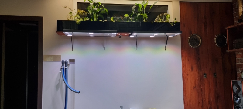 20230313_170237.jpg