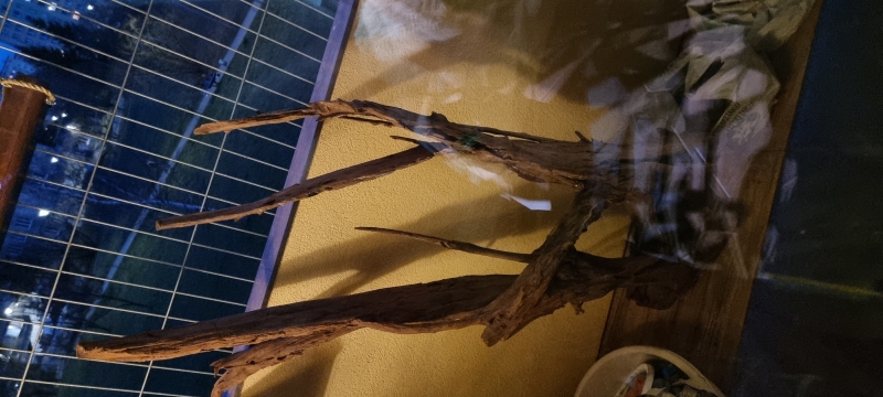 20230314_182202.jpg