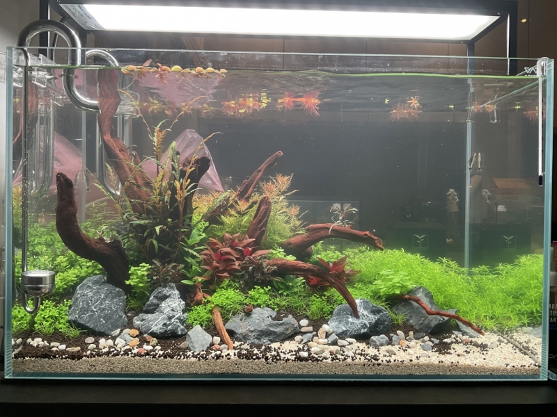 IMG_0052 Duży.jpeg
