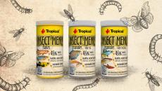 Nowość - Tropical Insect Menu - pokarm z owadami