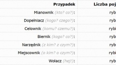 Repetytorium z języka polskiego - Deklinacja.