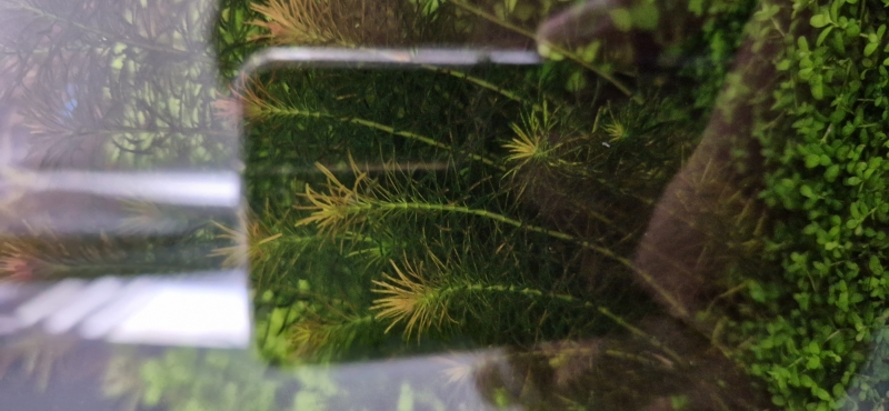 20230722_111619.jpg