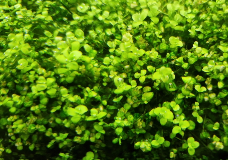 IMG-20230721-WA0016.jpeg