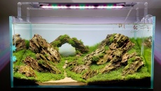 182l - Iwaguni - Marcin
