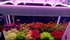 Akwarium 125l