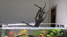 Budowa domu z akwarium 1800l+