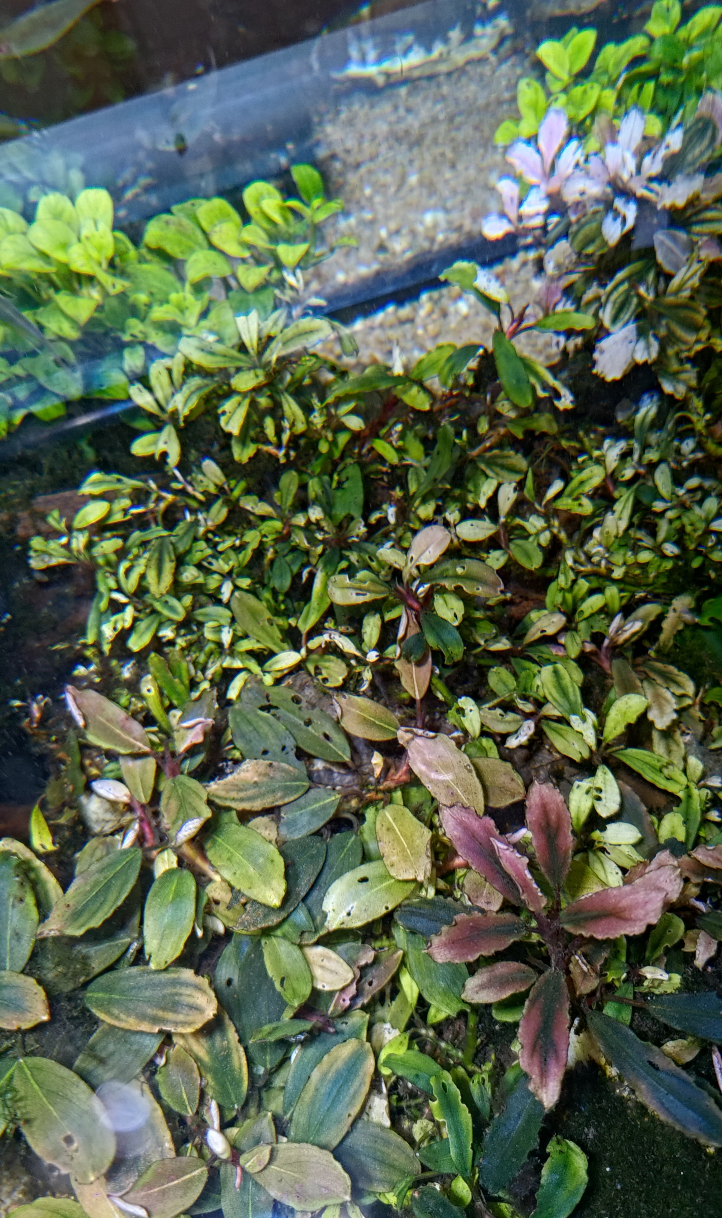 PSX_20231014_161905.jpg