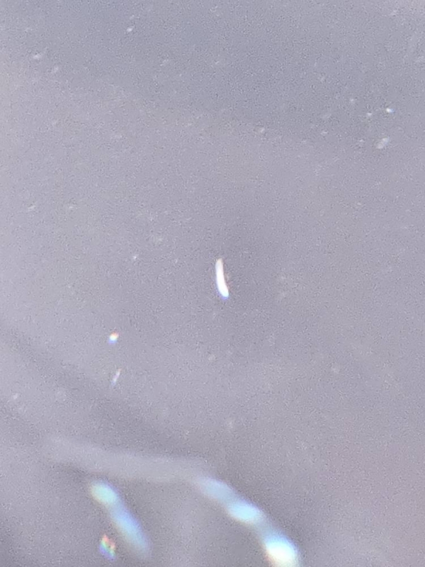 20231017_185514.jpg