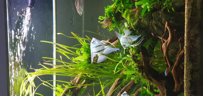 20231010_223931.jpg