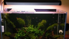 Akwarium 300l.,