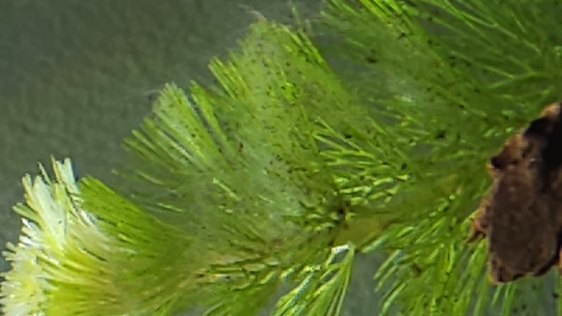 20231215_152340.jpg