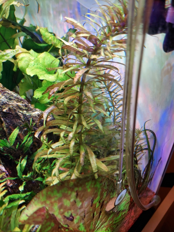 20231222_175210_copy_2601x3468.jpg