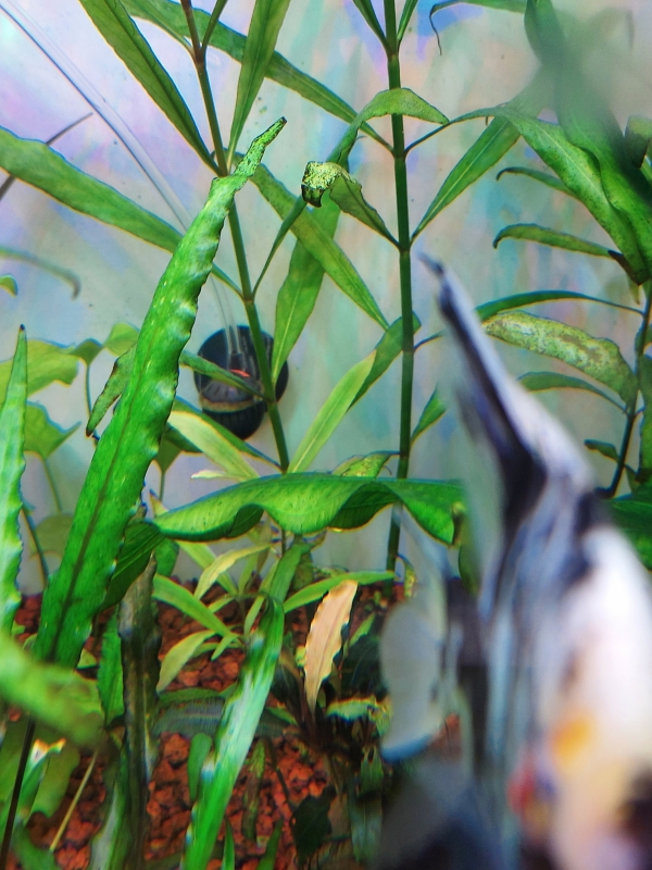 20231222_175241_copy_2601x3468.jpg
