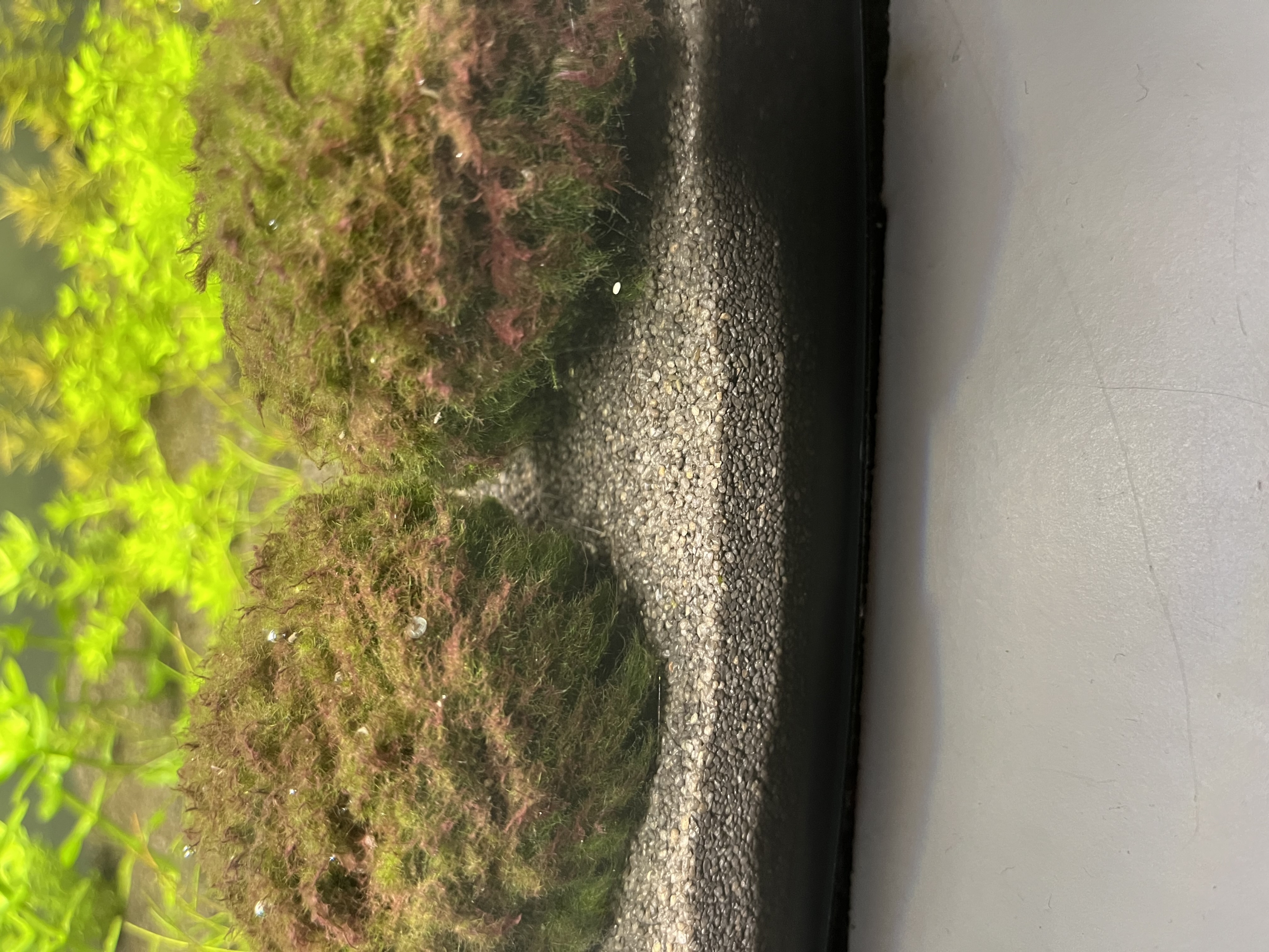 IMG_2961.jpeg