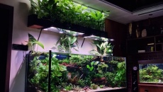 Projekt Dzika Locha V2 600l
