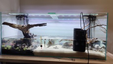 Fluval FX6 zabił mi ryby