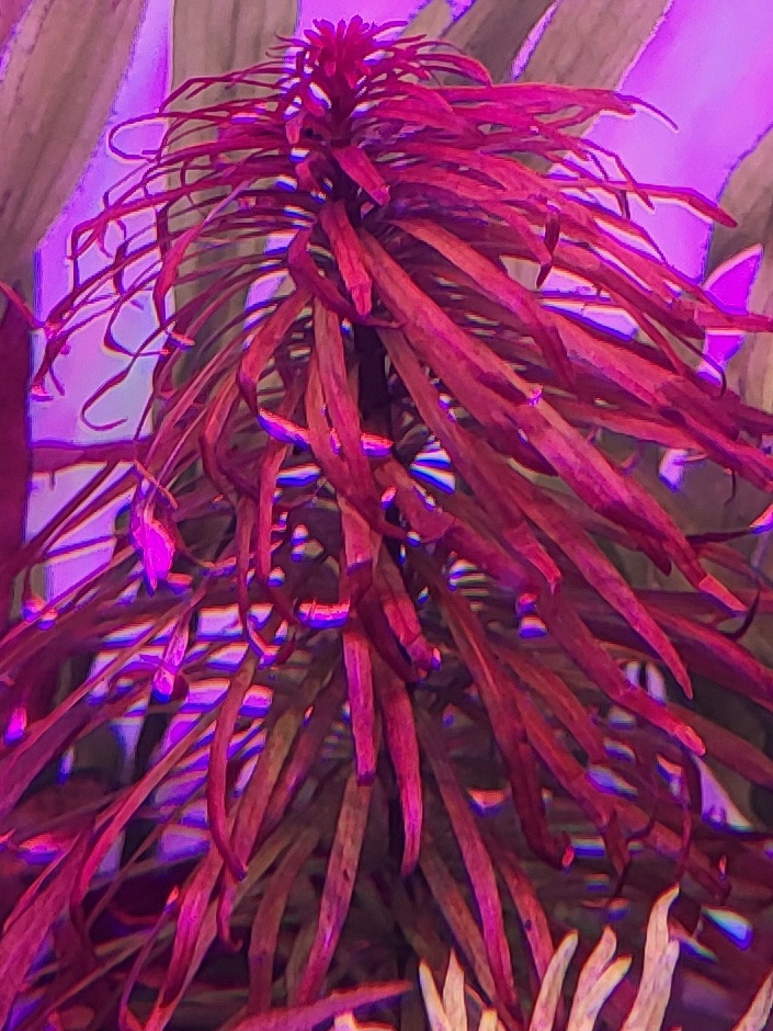 20240315_175940.jpg
