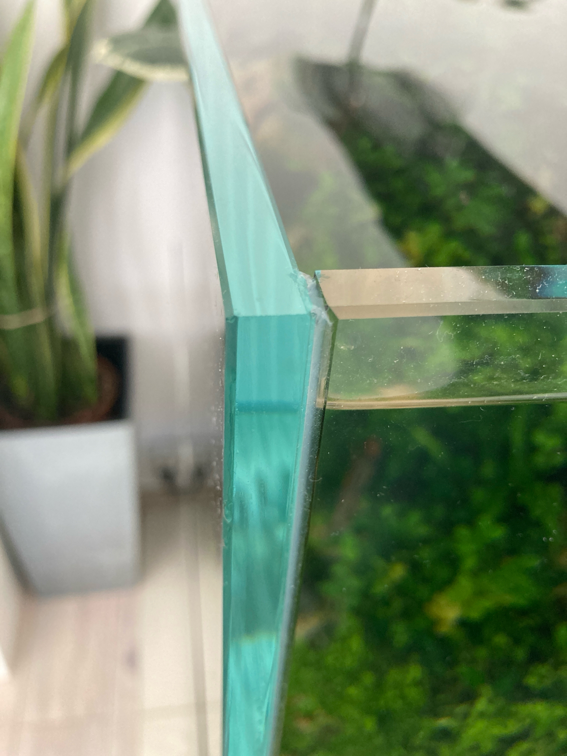 Image1711700022.565071.jpg