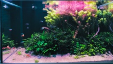 360l - Natura -  grzeniu3754