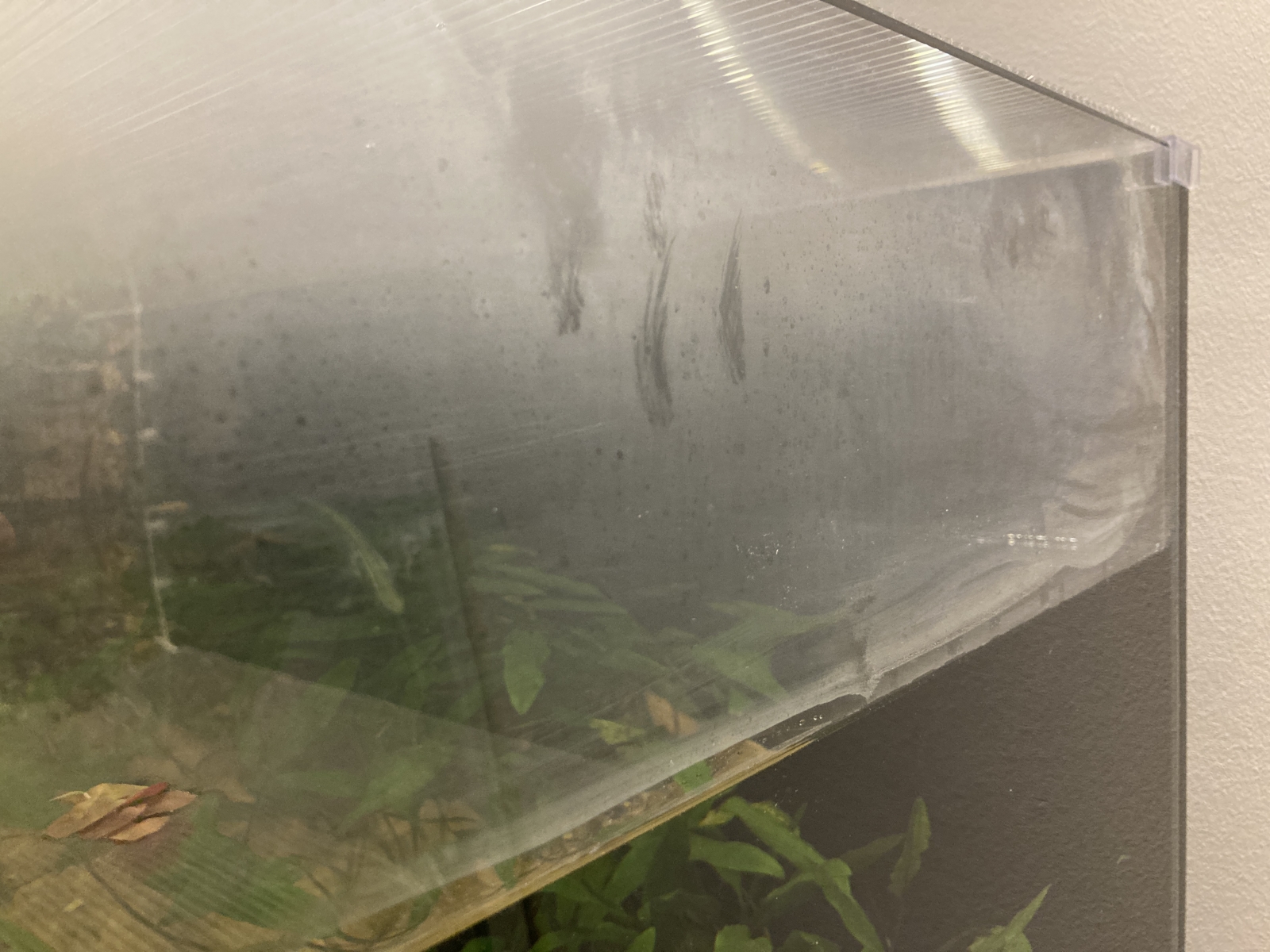 Image1719866089.144857.jpg
