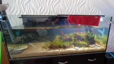 450l -Skalary