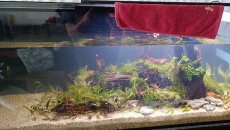 450l -Skalary