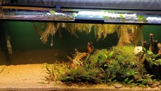 450l -Skalary