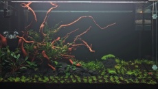 240l - BN/T - Kamil Andrzejewski