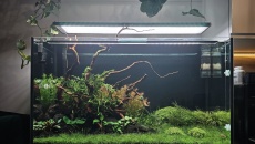240l - BN/T - Kamil Andrzejewski