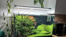 240l - BN/T - Kamil Andrzejewski