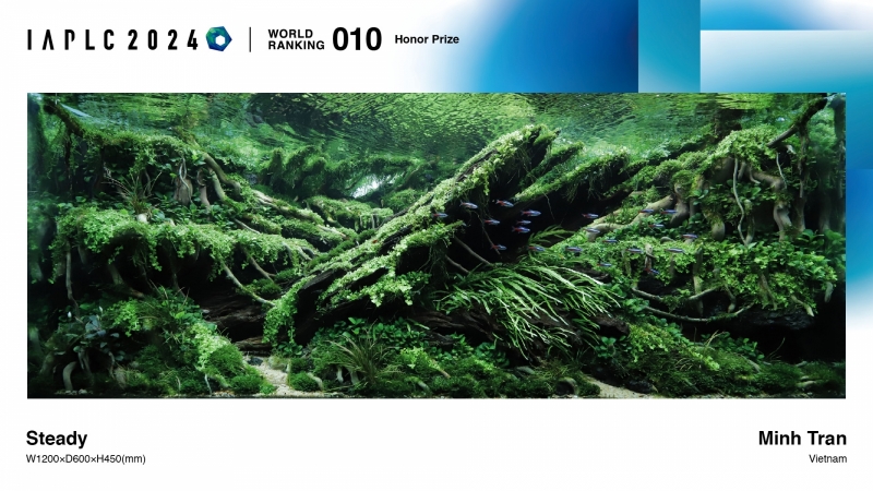 iaplc-10.jpg
