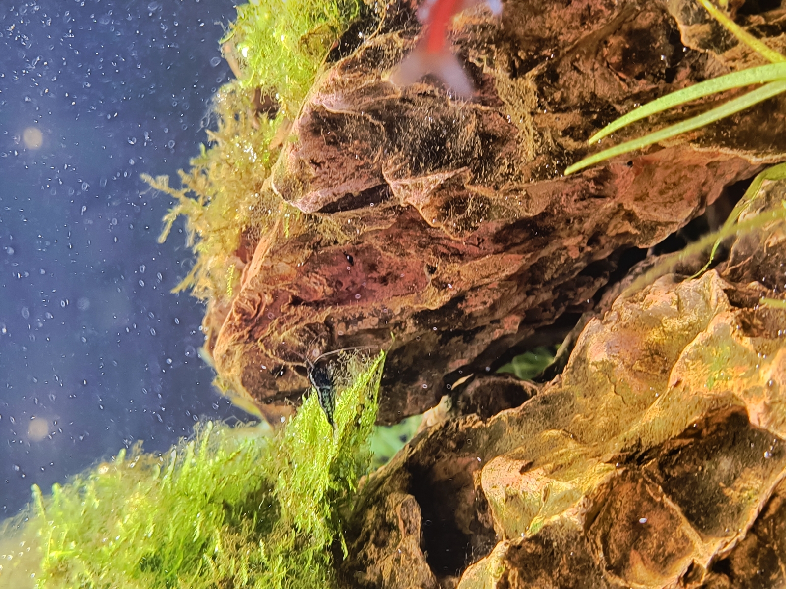 IMG_20241019_130812076_HDR.jpg
