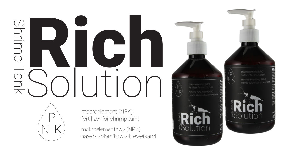 Rich-Solution-1200x630-px.jpg