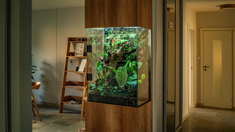 terrarium-szklane-widok-ogólny-szeroki.jpg
