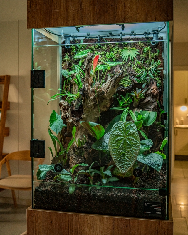wykonanie-szklanego-terrarium-warszawa.jpg