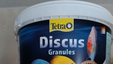 Paletki i ich choroby